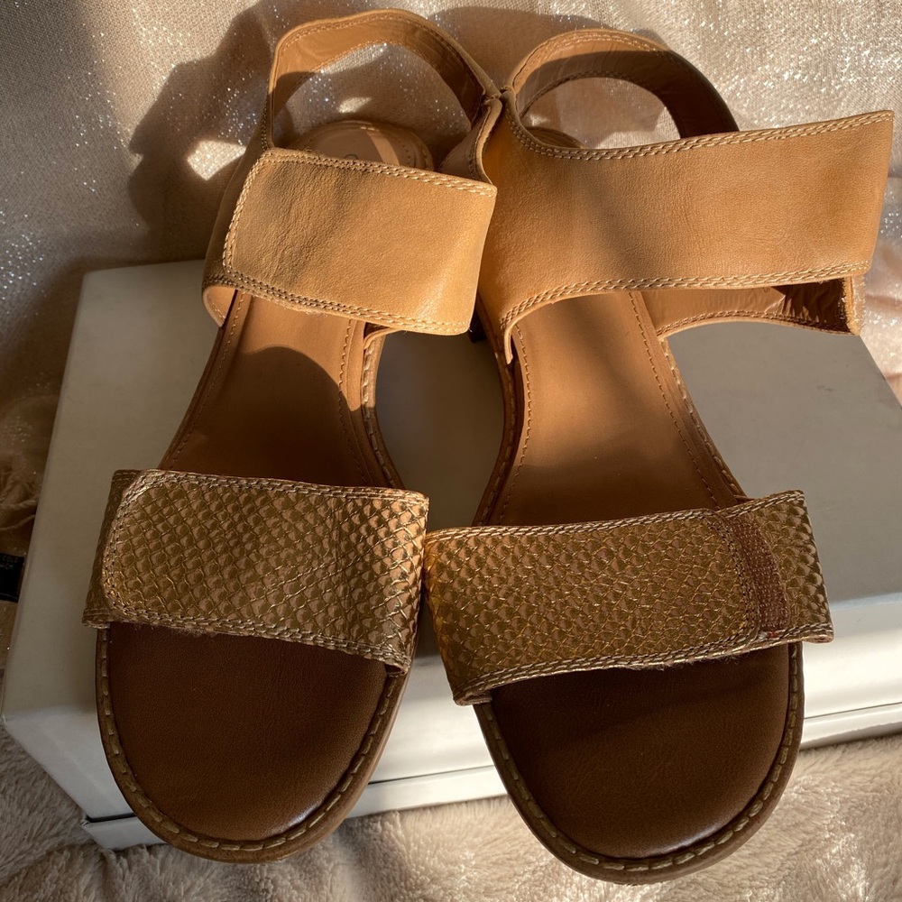 BAJA | Caramel with gold embossed snake print